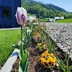 Holiday home Ostoja