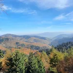 Ostoja *