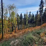 Ostoja