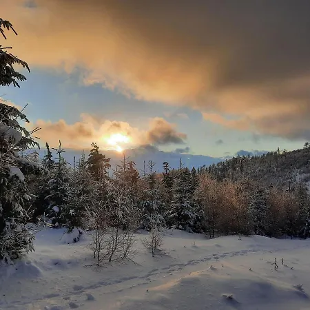 펜션 Ostoja Lomnica (Walbrzych)