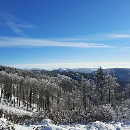 펜션 Ostoja Lomnica (Walbrzych)