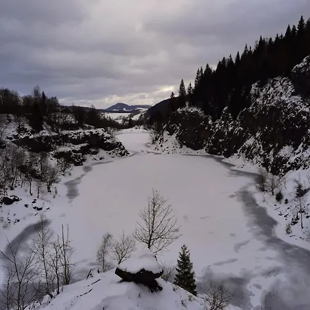 Ostoja 펜션 Lomnica (Walbrzych)