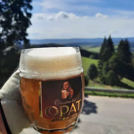 بيت للعطل Lomnicka Ostoja *