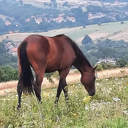 Lomnicka Ostoja Hébergement de vacances *