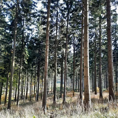 Lomnicka Ostoja * Lomnica (Walbrzych)