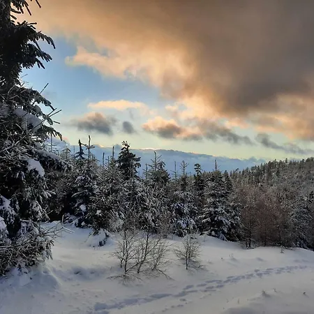 펜션 Ostoja Lomnica (Walbrzych)