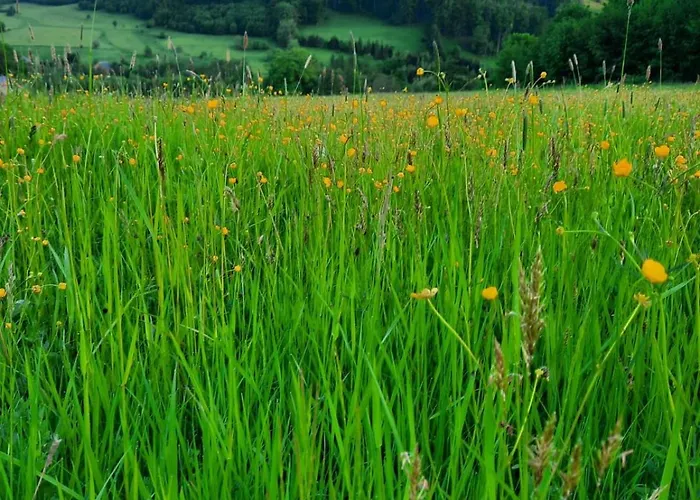 Semesterbostad Ostoja *