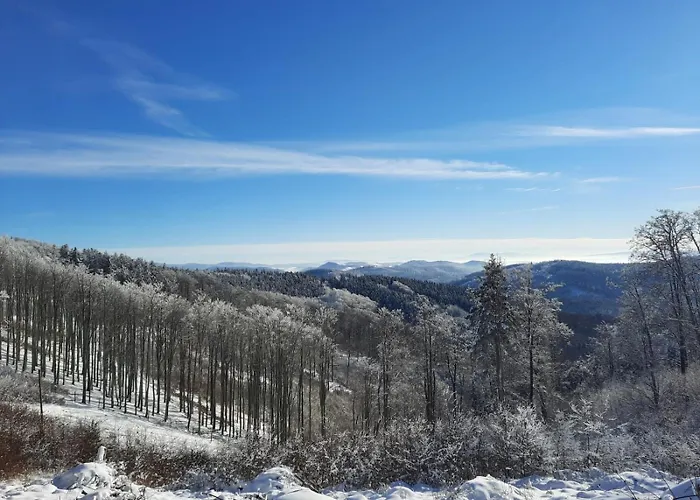Semesterbostad Ostoja Lomnica (Walbrzych)