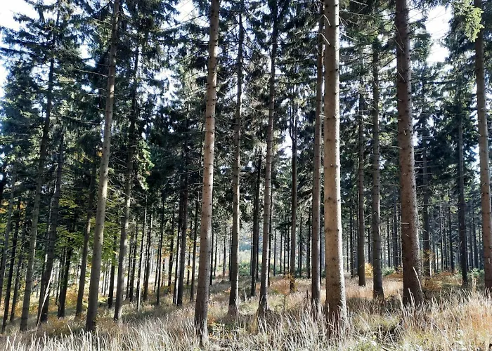 Ostoja * Lomnica (Walbrzych)