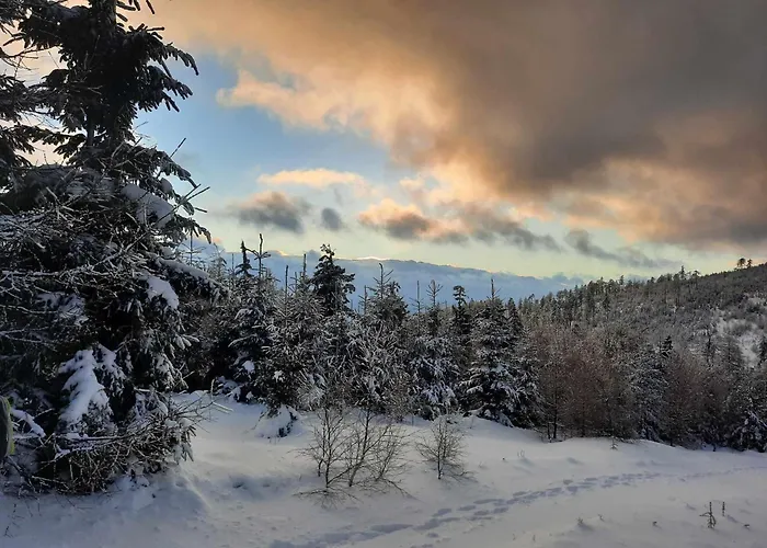 펜션 Ostoja Lomnica (Walbrzych)