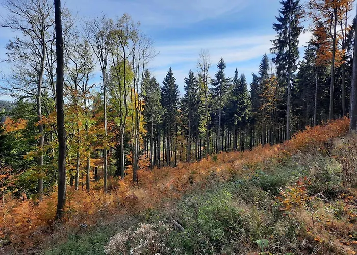 Ostoja Semesterbostad Lomnica (Walbrzych)