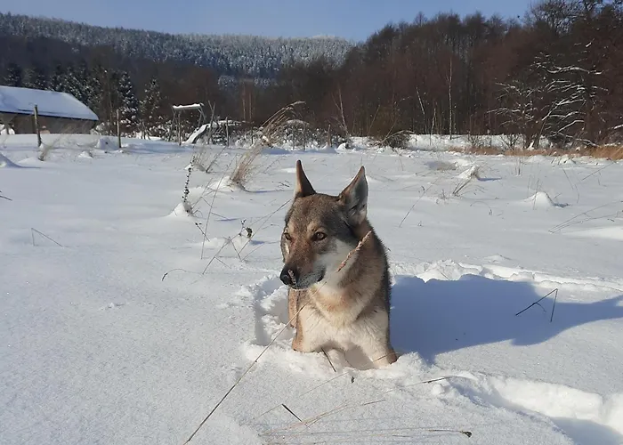 Semesterbostad Ostoja